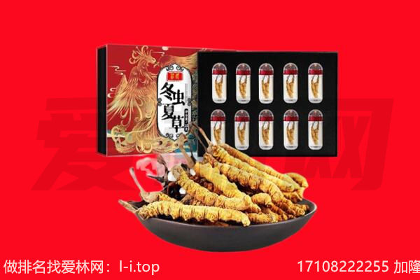 伊犁哈萨克回收虫草.jpg